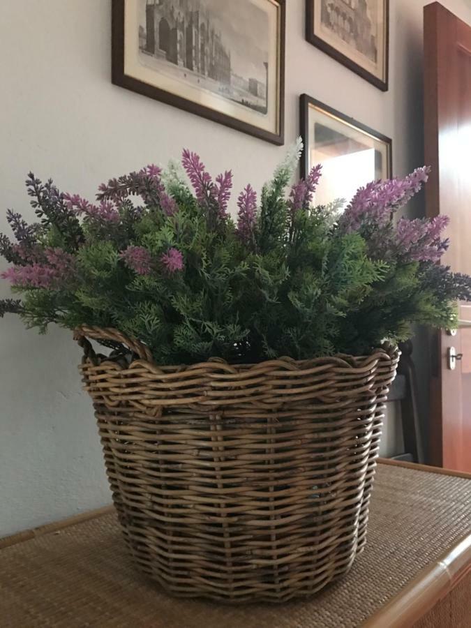 Campo Al Cerro Lejlighed Bolgheri Eksteriør billede