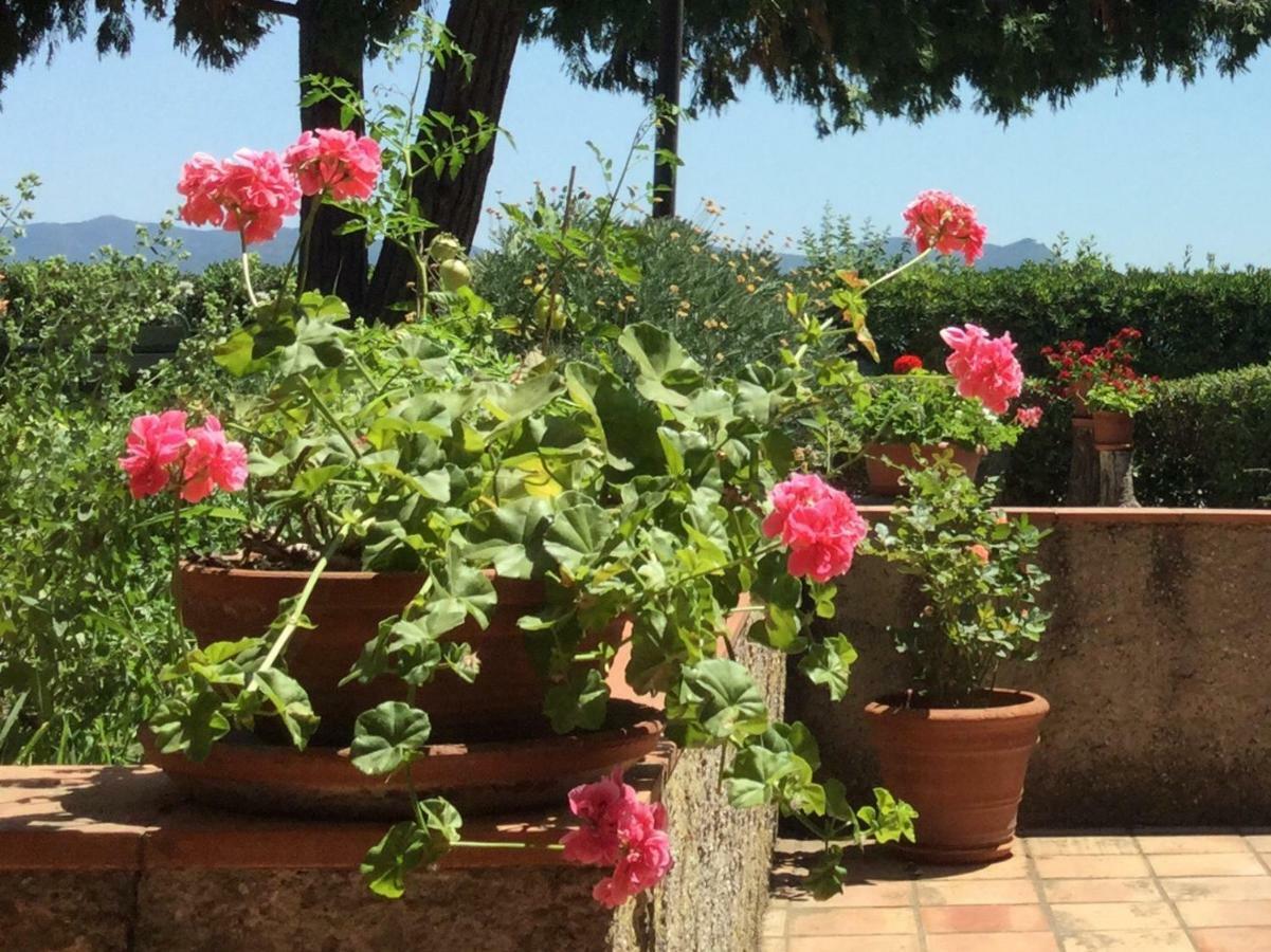 Campo Al Cerro Lejlighed Bolgheri Eksteriør billede