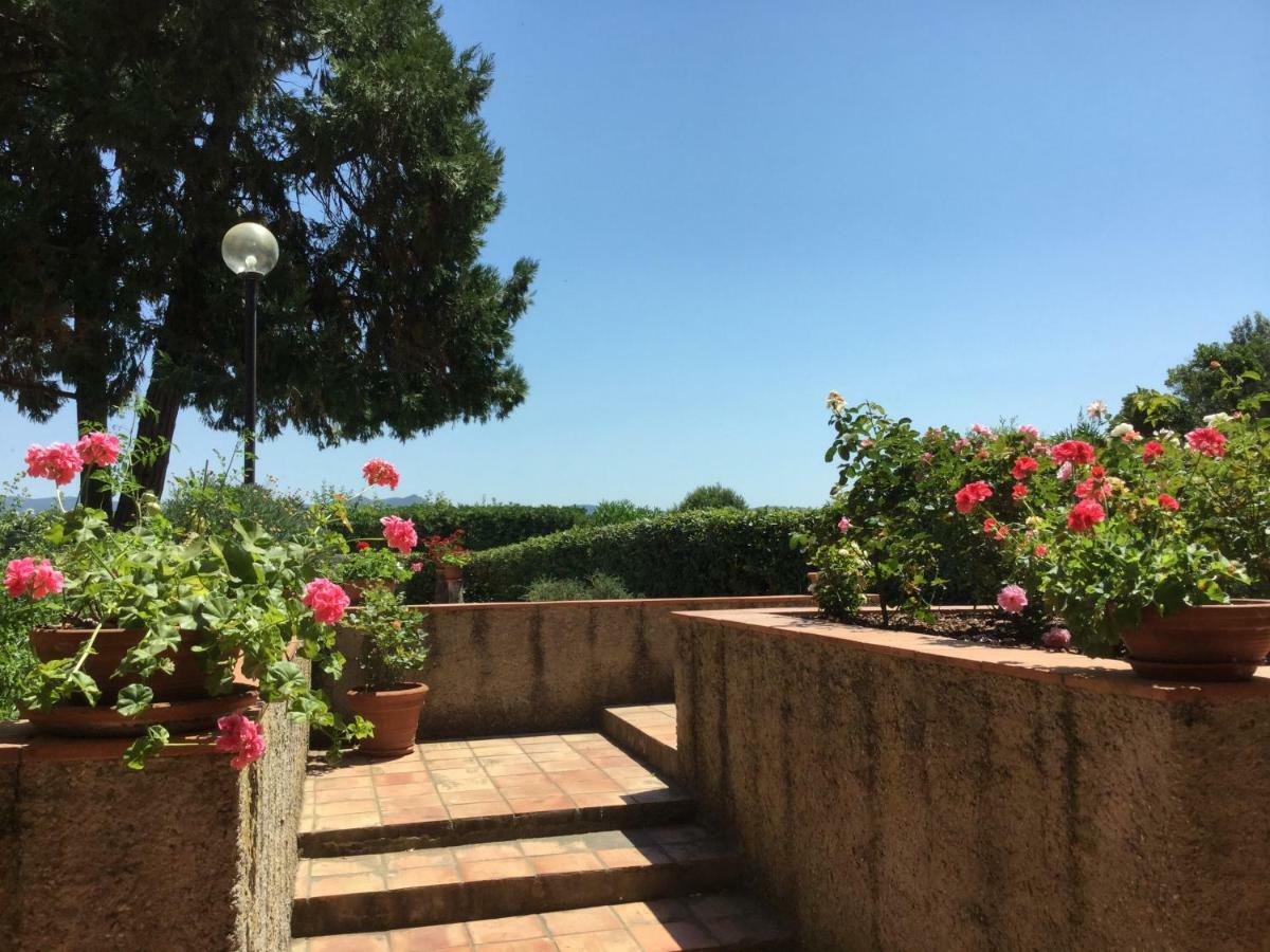 Campo Al Cerro Lejlighed Bolgheri Eksteriør billede